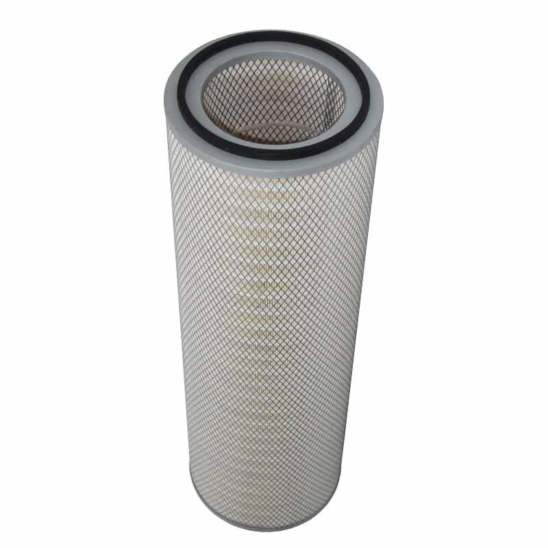 P124866 Donaldson Safety Air Filter Cartridge